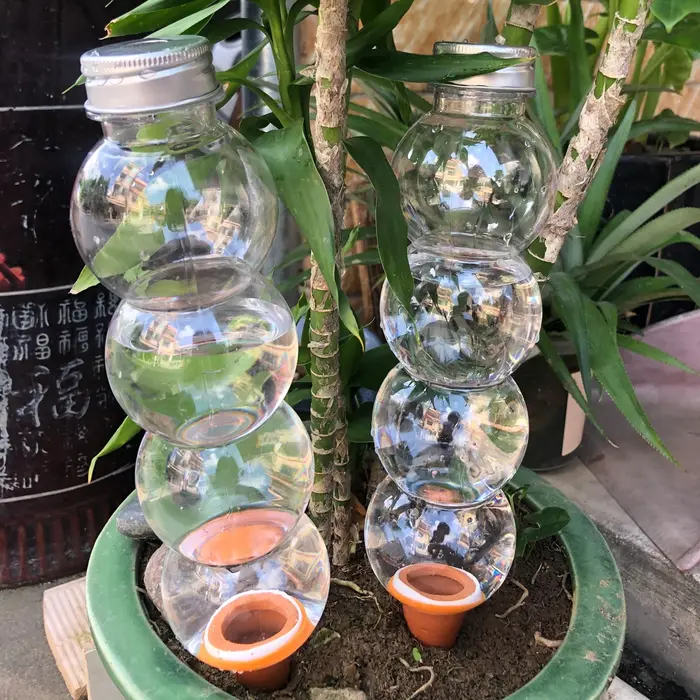 Système d'arrosage automatique pour plantes