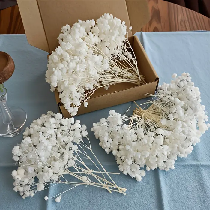Mini-bouquet de 50 petites fleurs séchées de gypsophile blanches en vrac pour décoration rustique de maison
