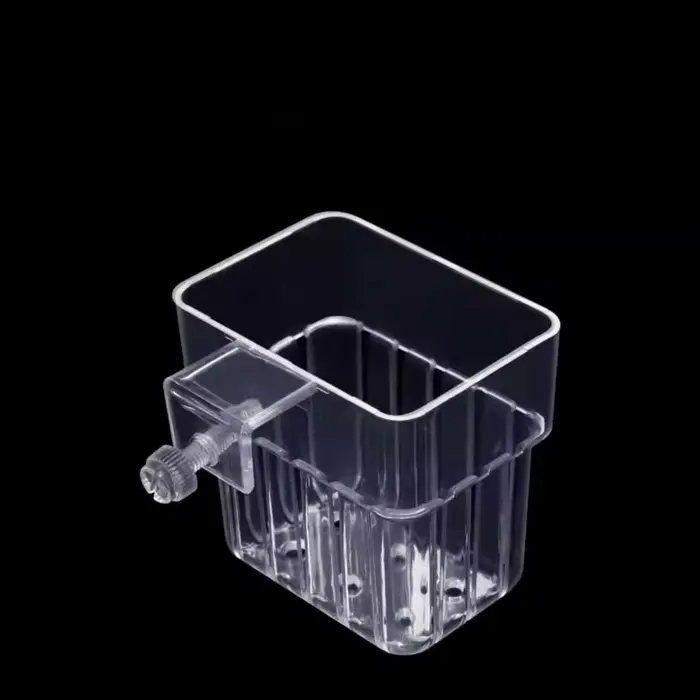Bulles de poisson Aquarium eau herbe tasse plusieurs plantes hydroponique