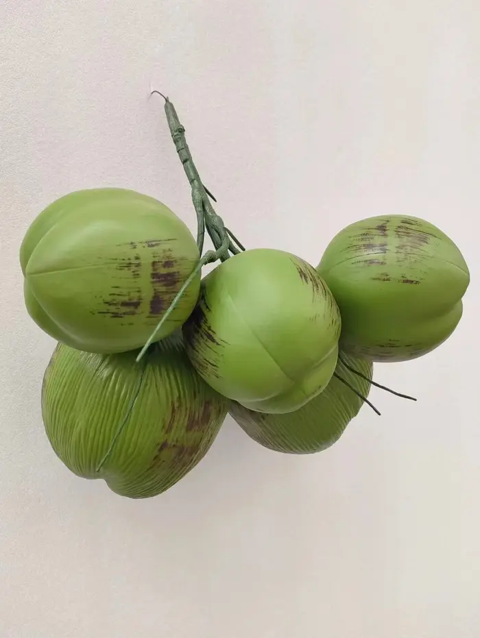 Simulation de fruits de cocotier