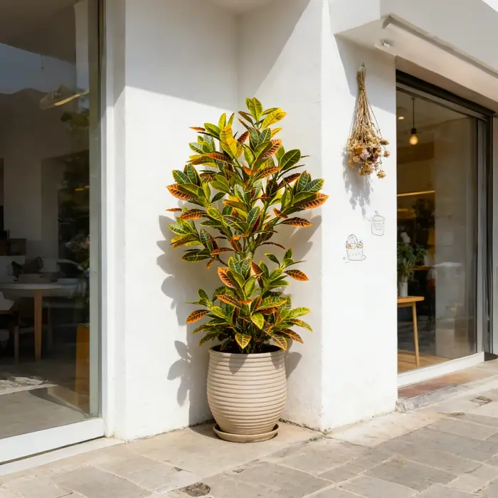 Plante artificielle de Codiaeum de grande taille (80-120 cm)