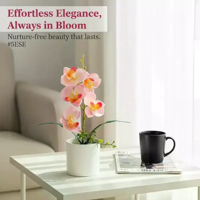 5 Plantes artificielles Phalaenopsis en pot pour la décoration de la maison et du bureau, petites plantes en pot, faux bonsaïs, plantes vertes