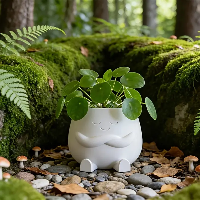 2 pots de plantes porte-bonheur