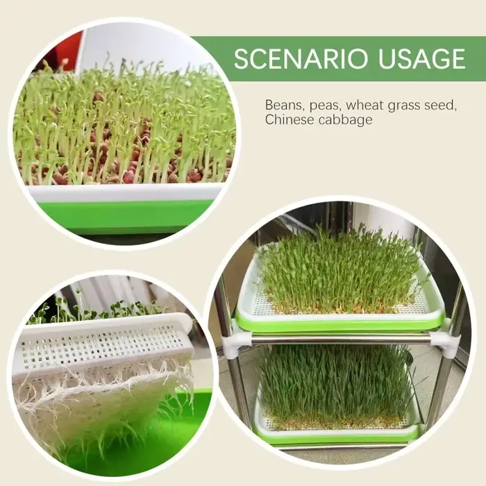 Plaque de germination hydroponique sans sol avec couvercle