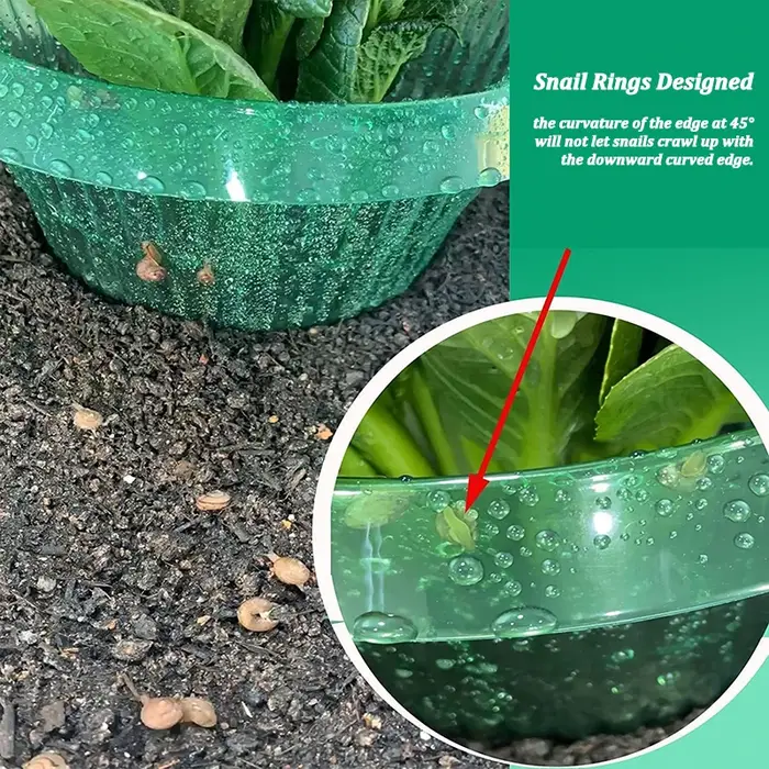 Protège-légumes réutilisables : Colliers anti-limaces et anti-vermicelles pour plantes de jardin