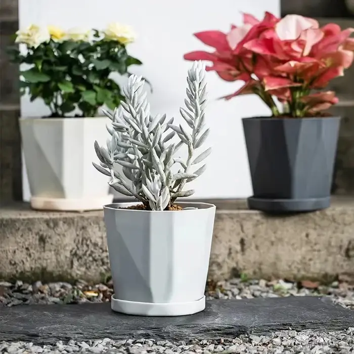 Pots de fleurs en plastique de grand diamètre pour plantes succulentes et vertes d'intérieur et d'extérieur, décorations de jardin