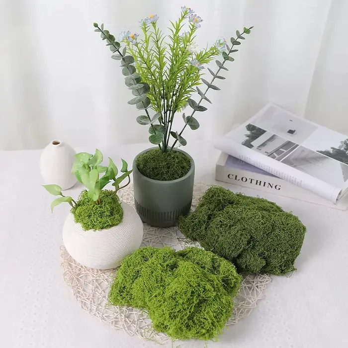30/100g plantes vertes artificielles mousse vie éternelle