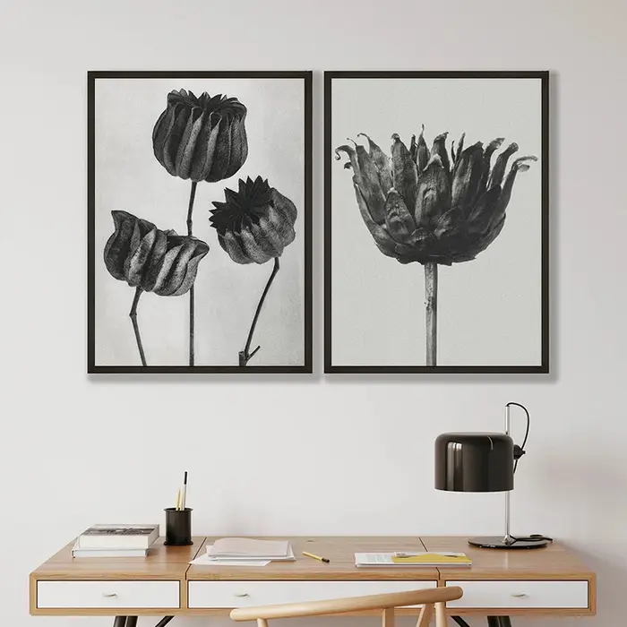 Karl Blossfeldt noir et blanc plante fleur minimaliste esthétique impression toile peinture pour salon moderne décor à la maison