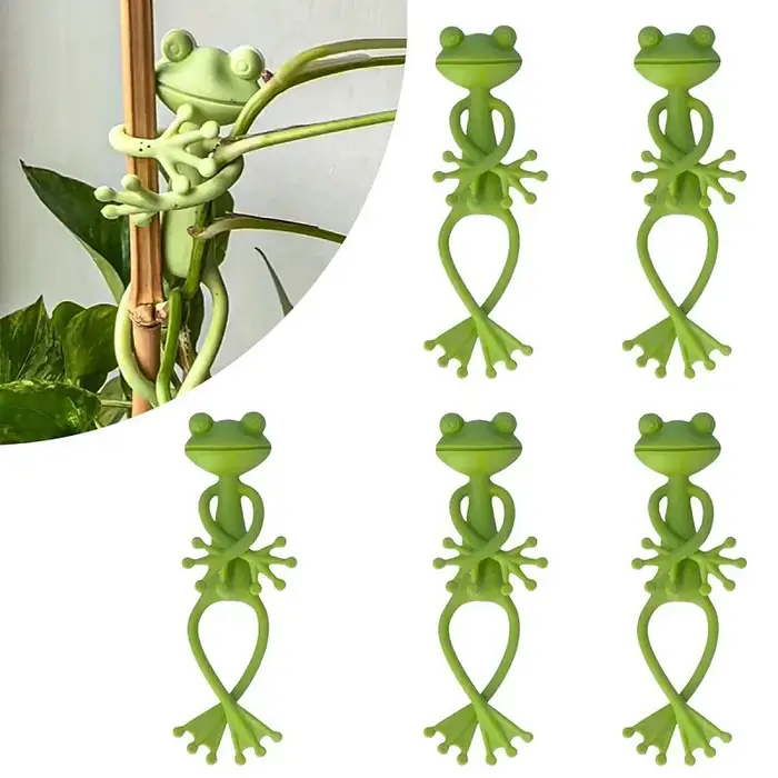 Support pour plantes grenouille