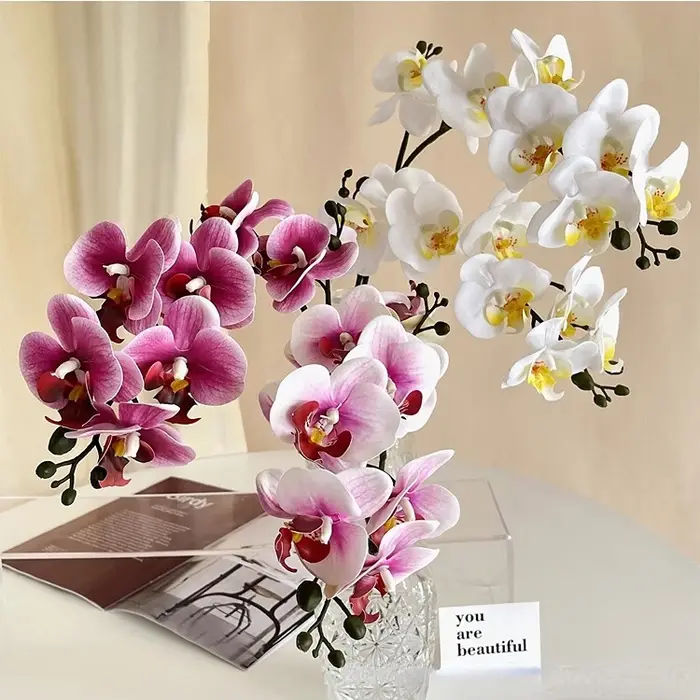 Film d'impression 3D Phalaenopsis