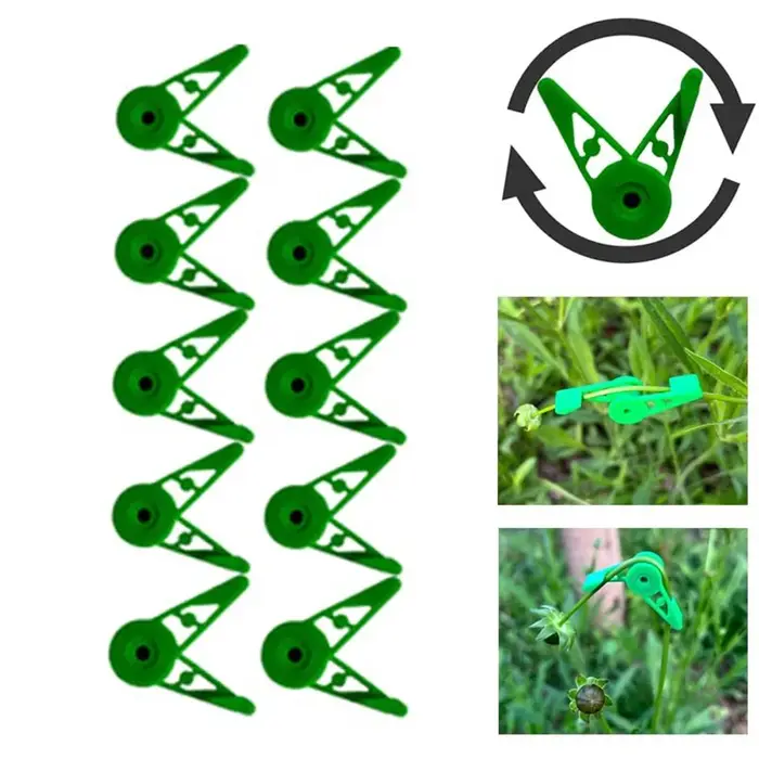 Clips d'entraînement pour cintreuse de Branches de plantes