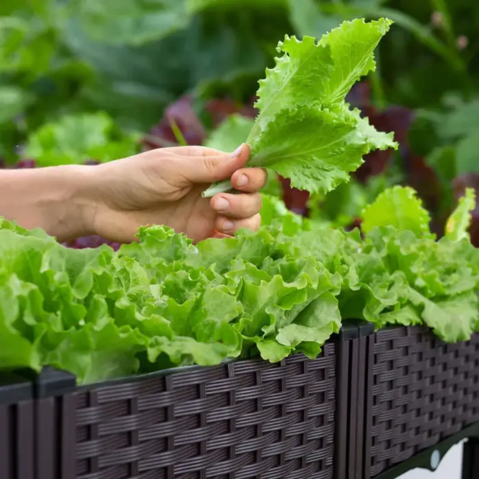 Récipient de plantation en plastique avec pieds