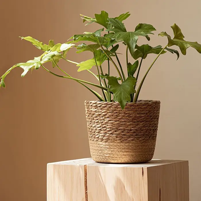 Pot de fleurs en paille tressée
