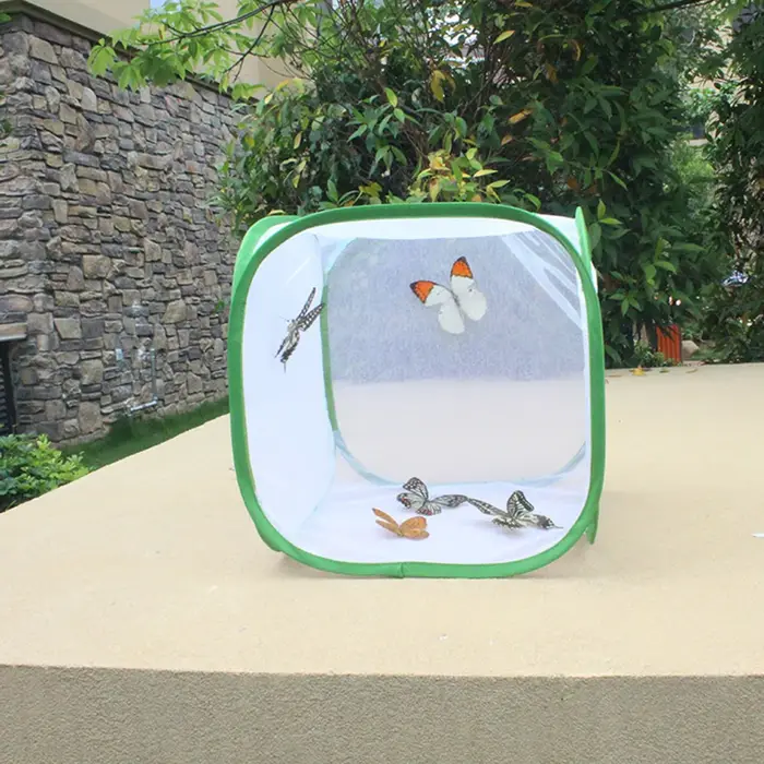 Mini Boîte d'Alimentation Noire pour Insectes