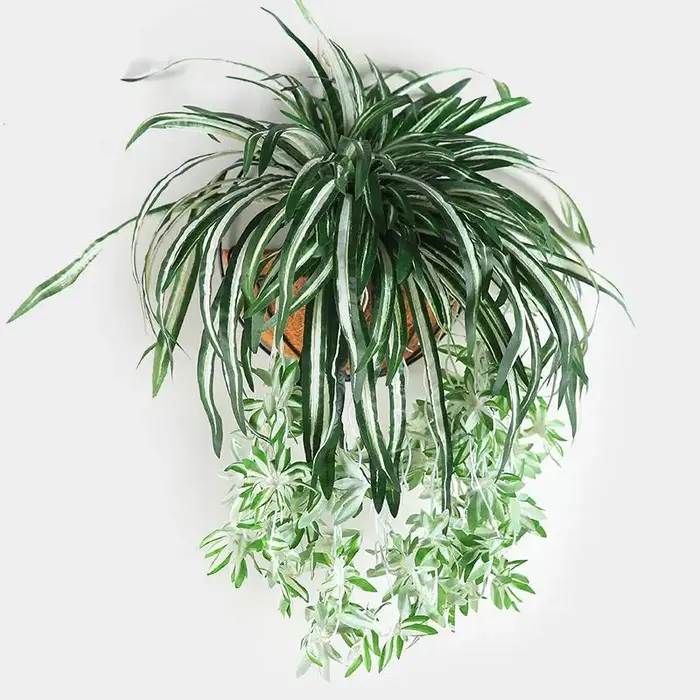 Plantes artificielles suspendues au mur