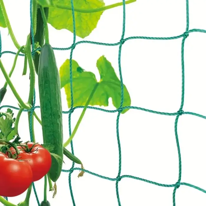 Filet de treillis en nylon pour plantes grimpantes de jardin