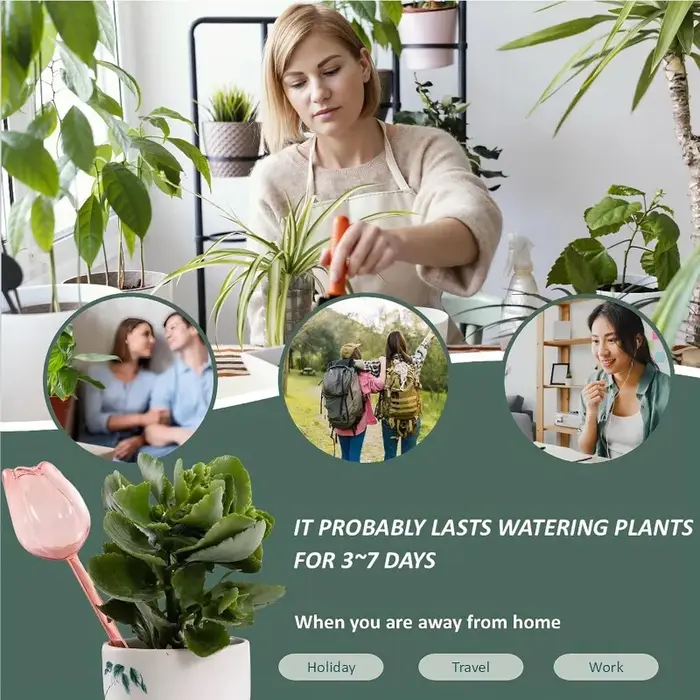 1/4 ampoules d'arrosage automatique pour plantes tulipes