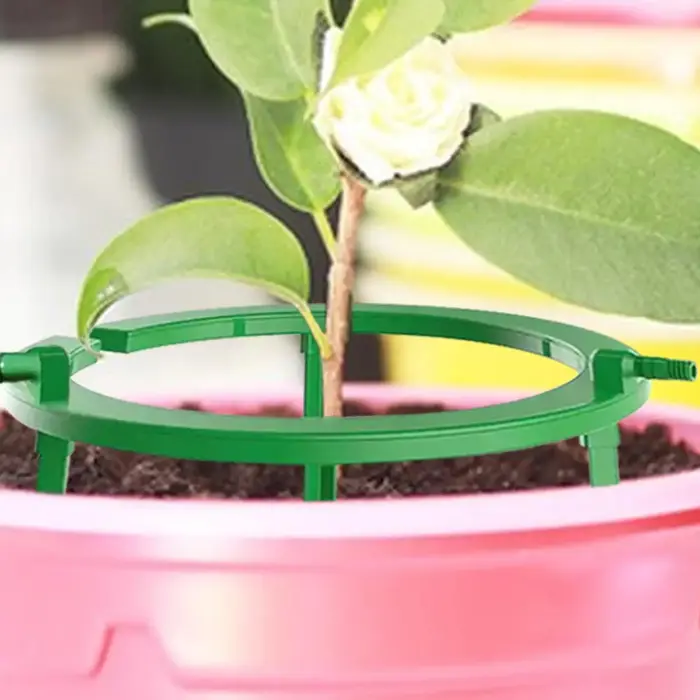 Anneau d'irrigation pour plantes