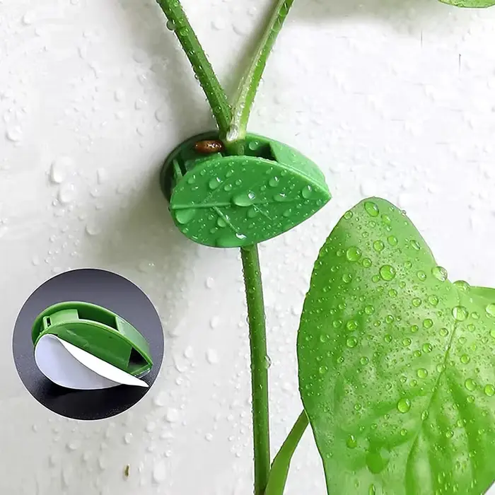 Support de Traction pour plantes de vigne