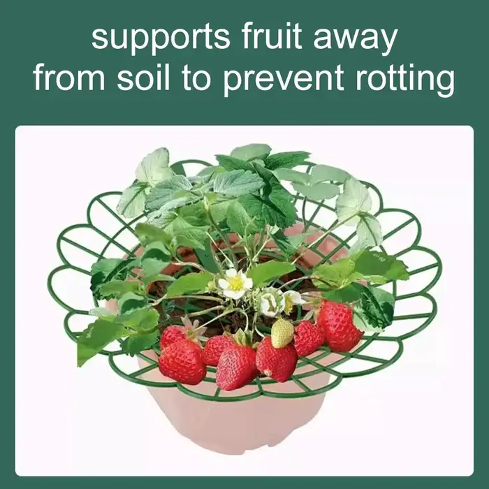 Supports pour plantes de fraises avec trois pieds robustes