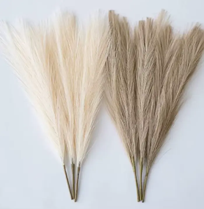 Pampas herbe mer fleur décor maison chambre faux