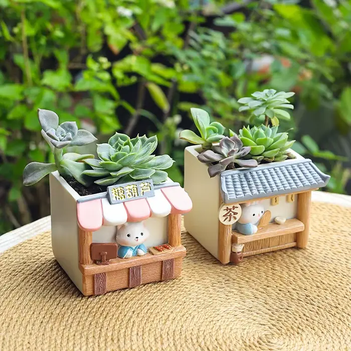 Pot de fleur créatif pour Cactus succulents
