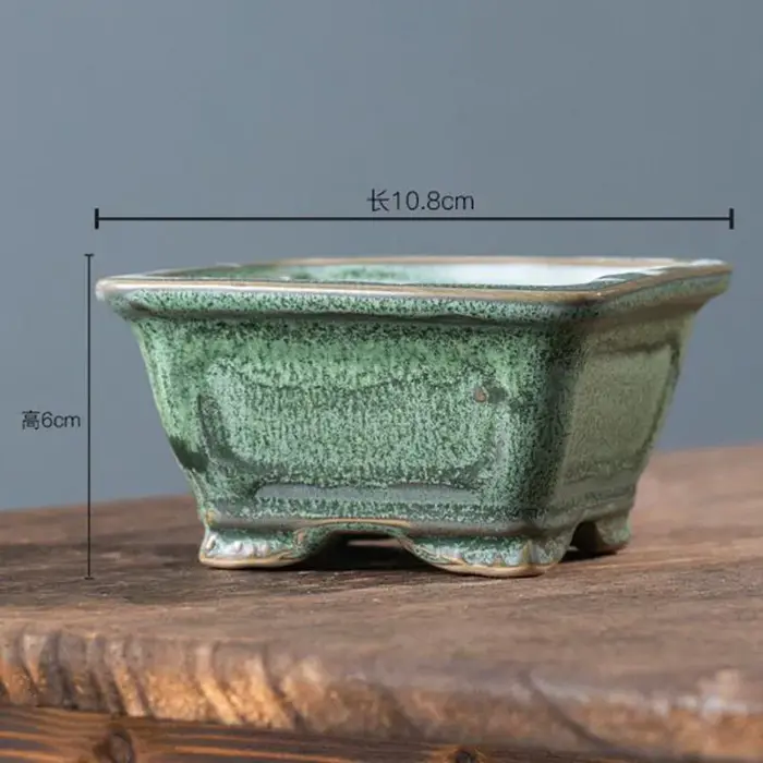 Pot de plantes succulentes émaillées en poterie grossière