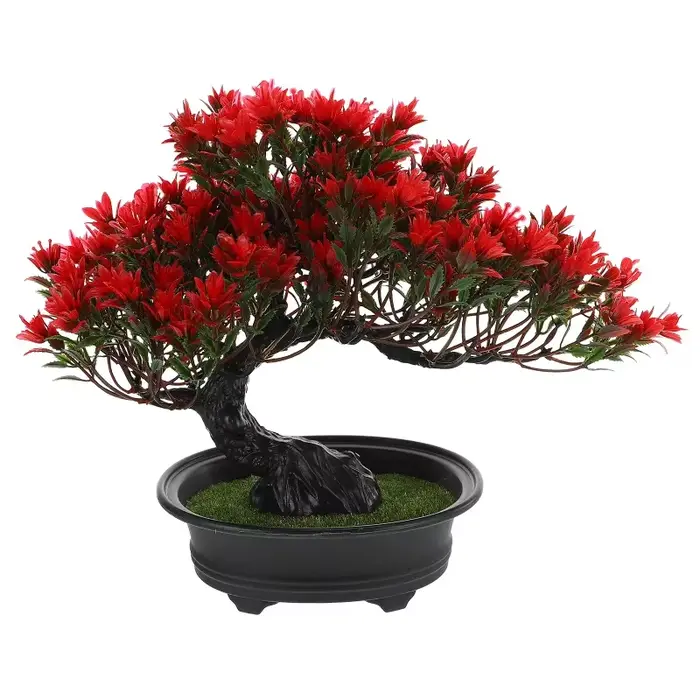 Bonsaï réaliste en pin rouge