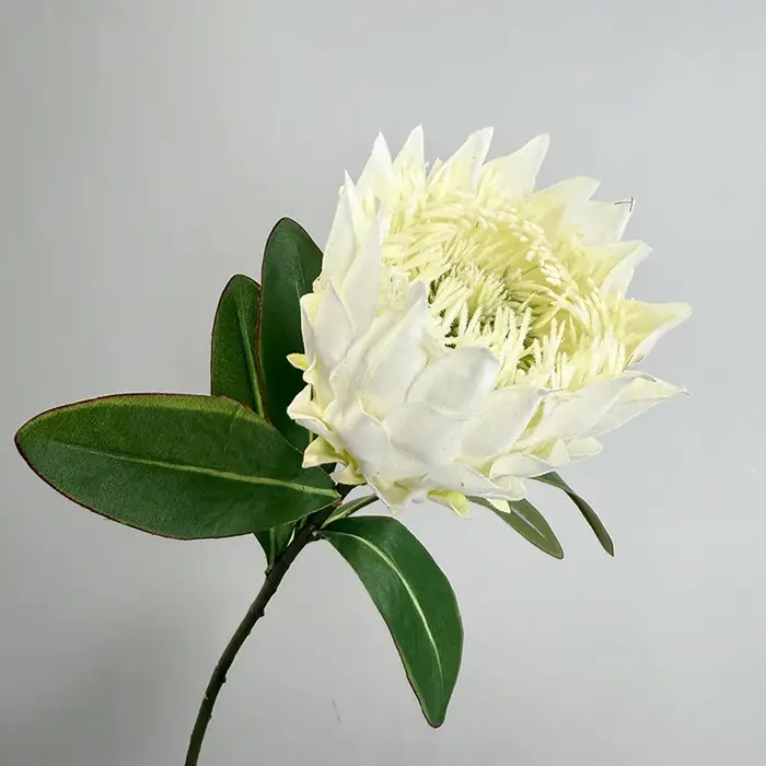 Fleur Bodhi sud-africaine floquée, fleur d'empereur artificielle, fleur en plastique décorative pour