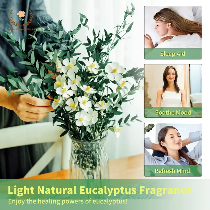 Bouquet de feuilles d'eucalyptus naturelles