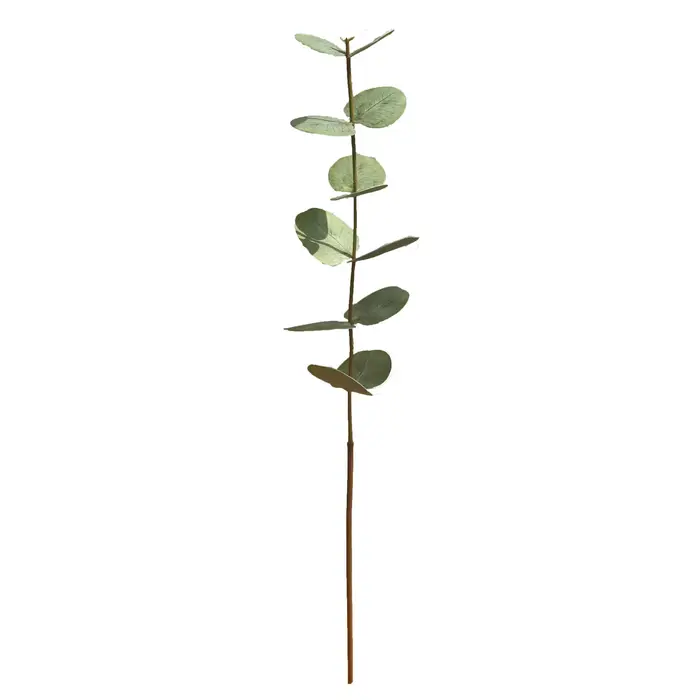 Feuilles d'eucalyptus artificielles au toucher réel