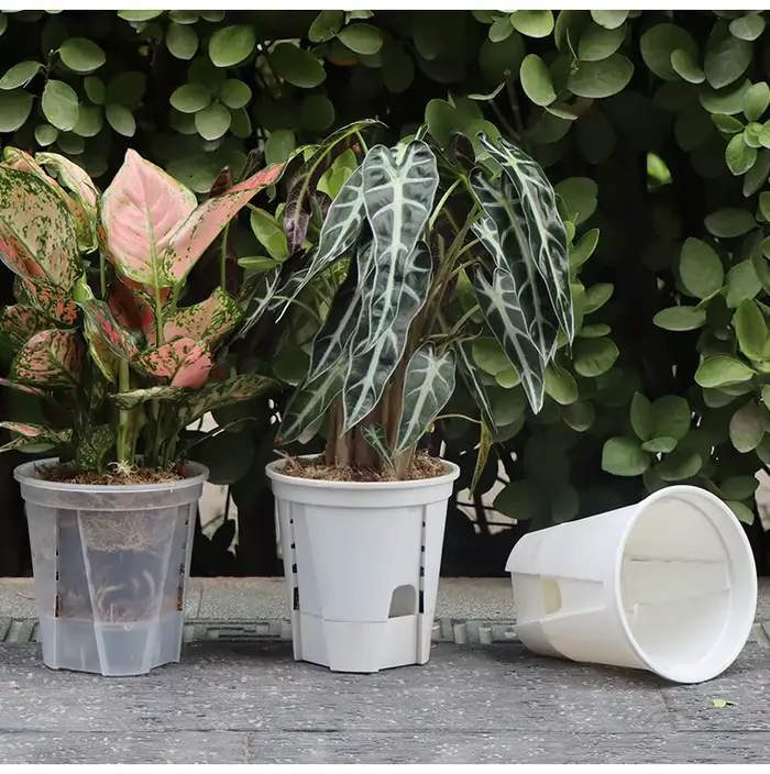 Pot de plantes à arrosage automatique