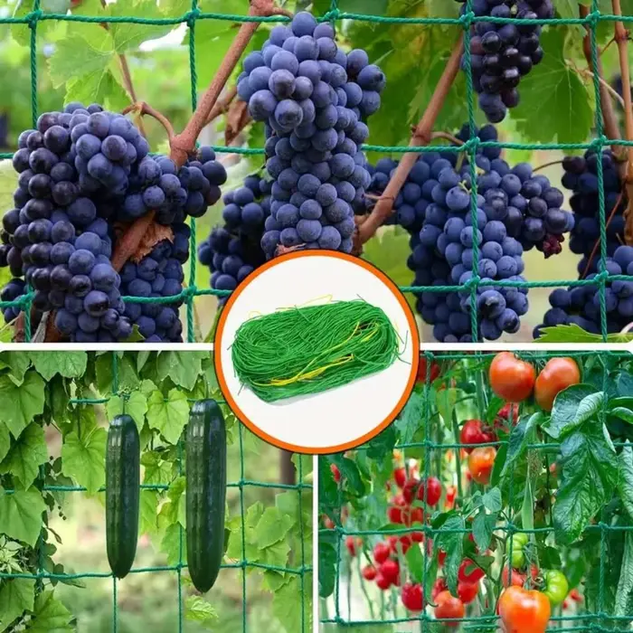 Pergola treillis robuste en polyester avec maille carrée pour plantes grimpantes et légumes