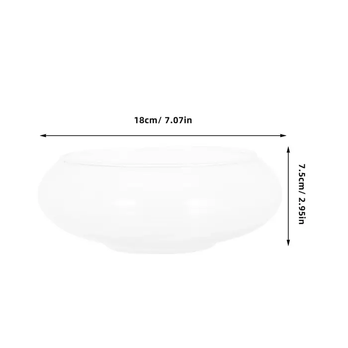Pot de plante en verre transparent