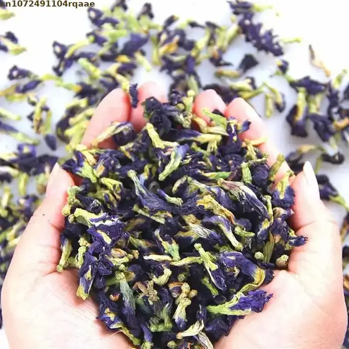 Orchidée naturelle à pigments organiques de qualité supérieure