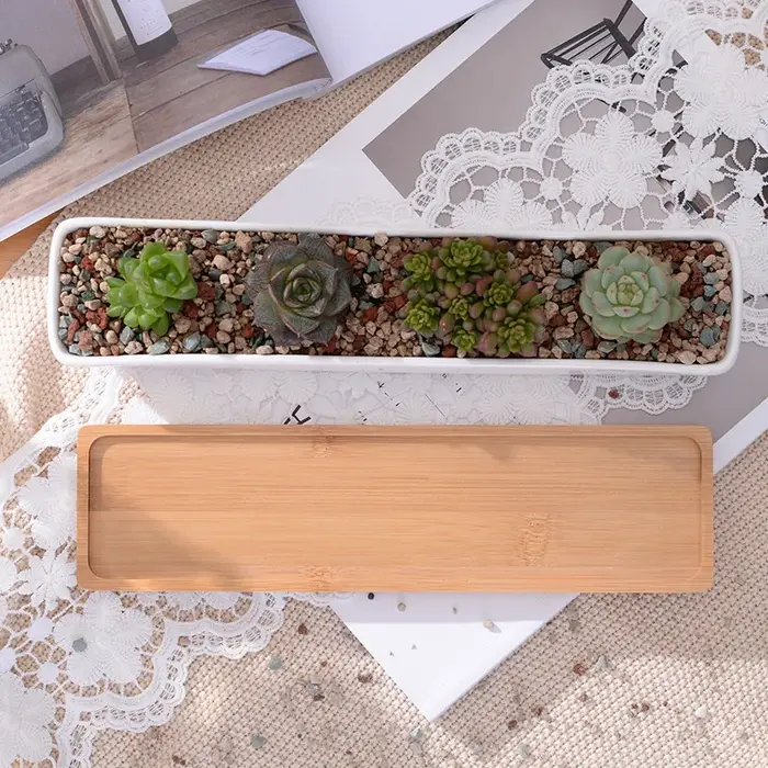 Pot de jardinière succulente en céramique blanche rectangulaire longue avec plateau en bambou