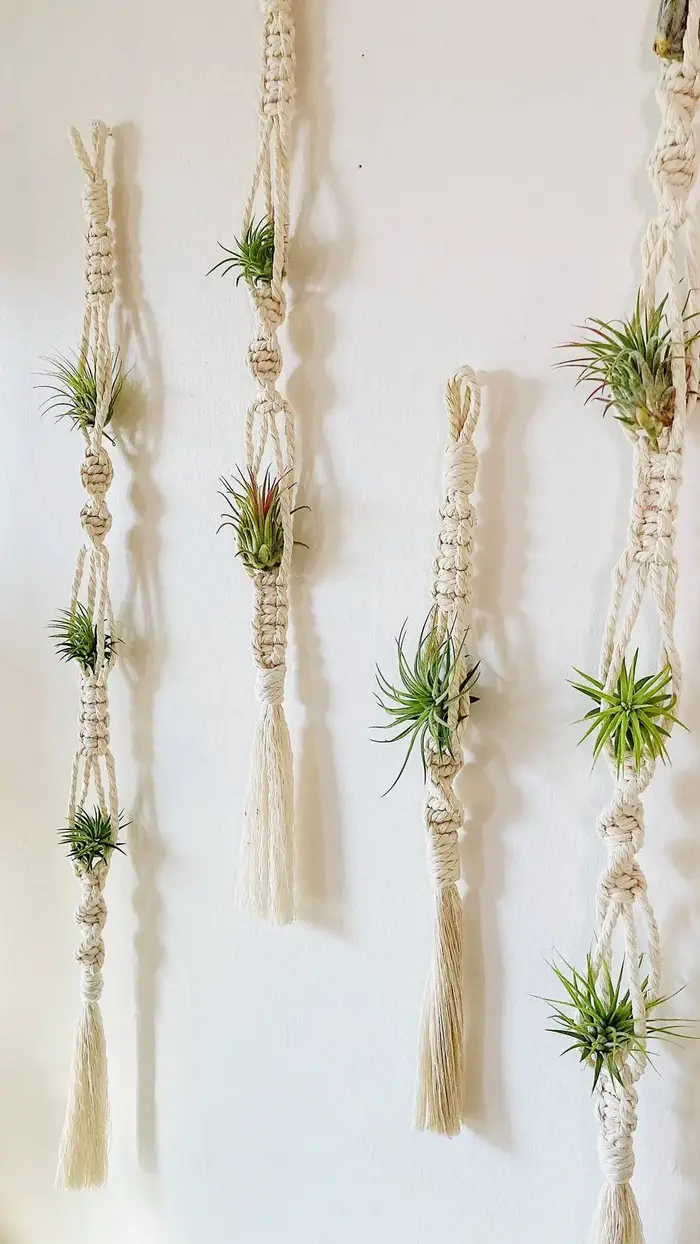 Cintre pour plantes à Air en macramé