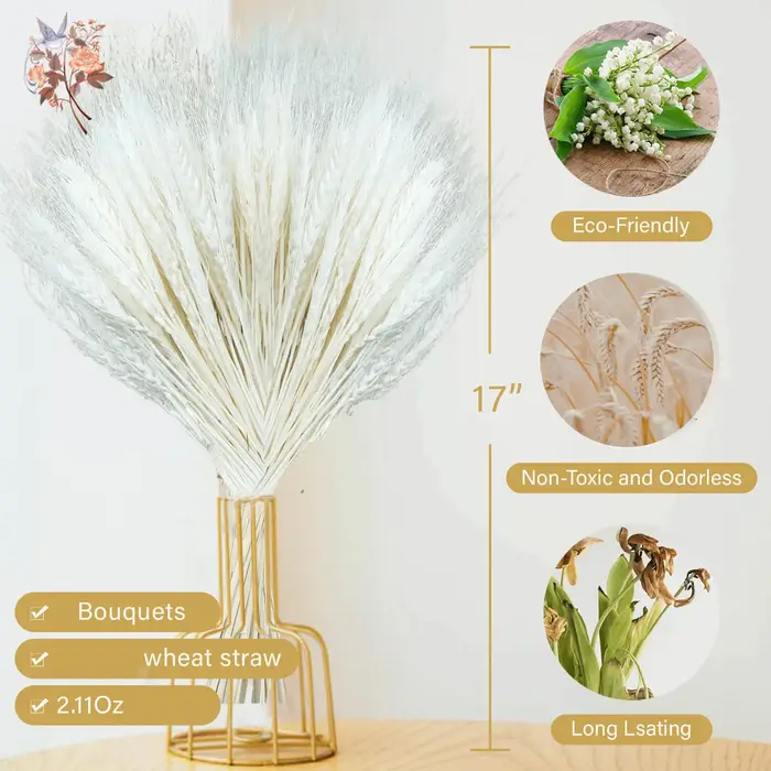 100 tiges de blé séché blanc