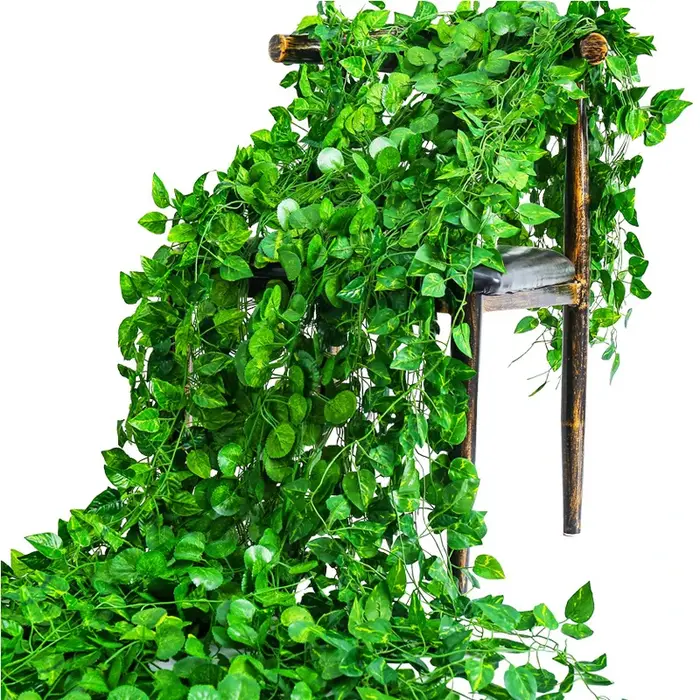 Couronne verte de Noël