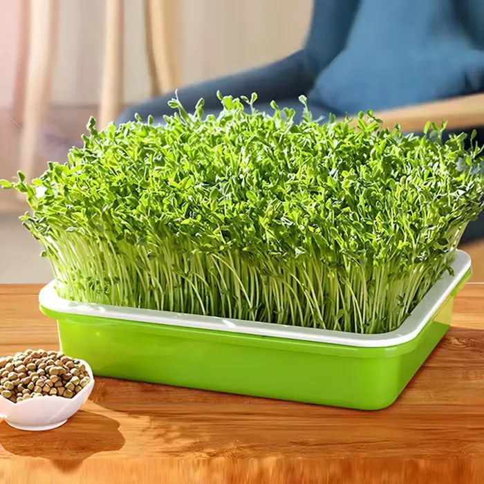 Plateau de Germination Pot de graines de plantes jardin Double couche Arc système de culture hydroponique sans sol Pots de semis accessoires de jardinage