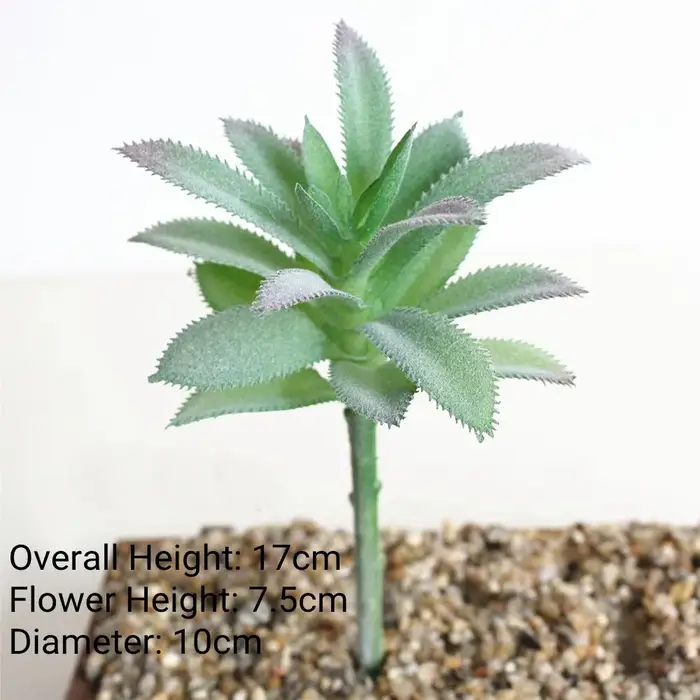 Plantes succulentes artificielles floquées vertes