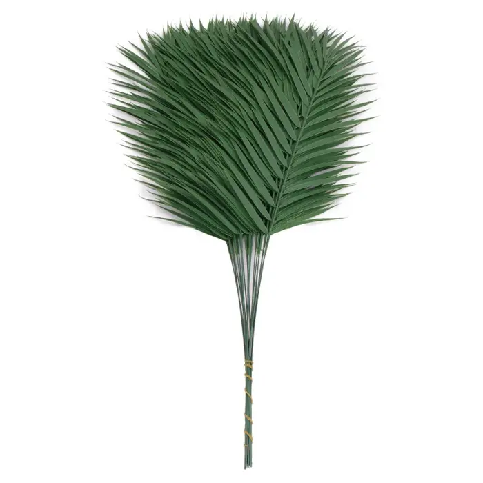Feuilles de palmier Monstera Tropical