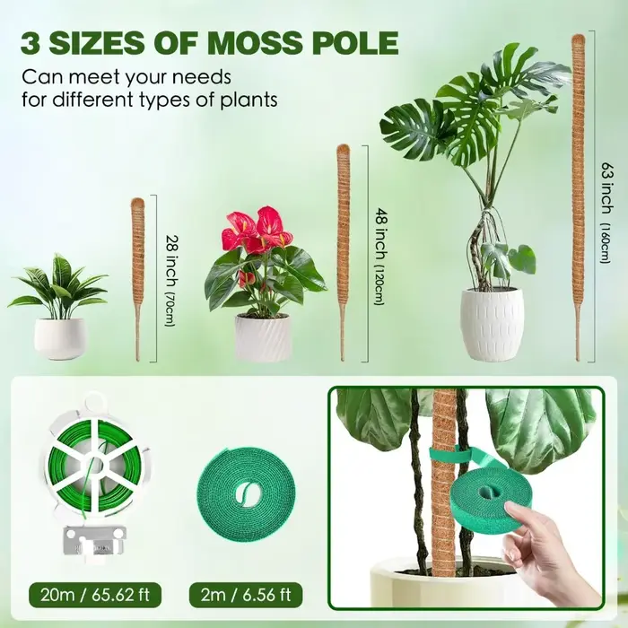 Support d'escalade pour plantes pliables