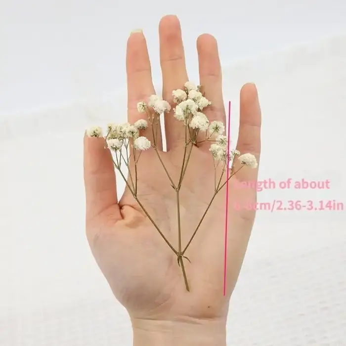 Paquet 50 fausses fleurs gypsophile séchées avec tiges vertes pour bouquets