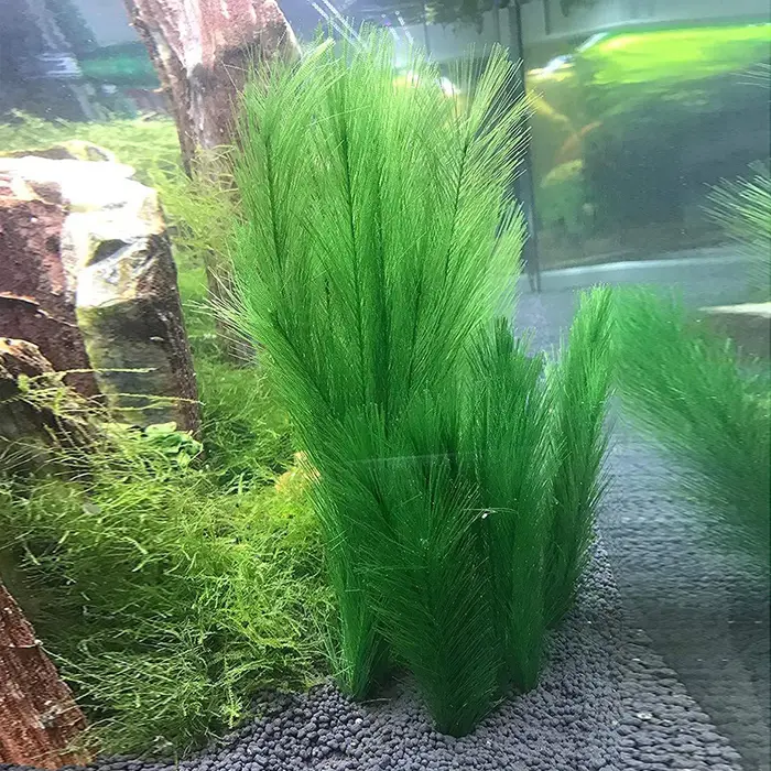 30cm Imitation eau herbe Aquarium aquatique plante artificielle fausse