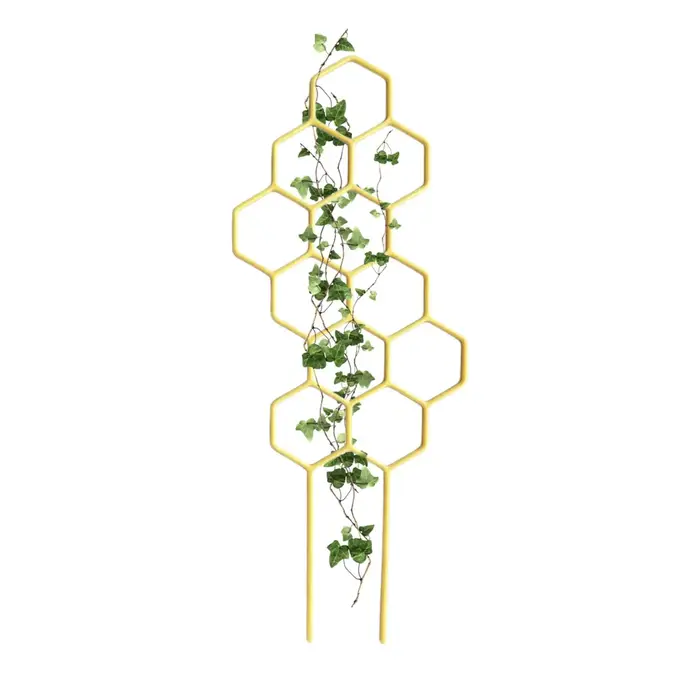Support pour Plantes Grimpantes