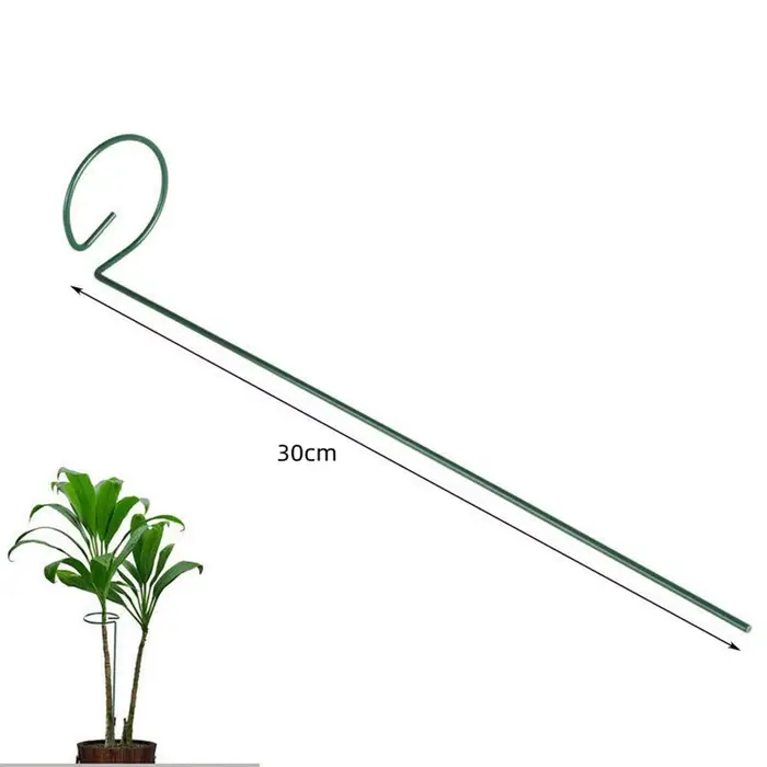 Bâtons de Support pour plantes grimpantes en pot
