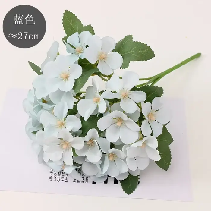 Bégonia fleur fleur sèche gaufrage plante spécimen fleurs séchées gaufrage botanique spécimen bricol