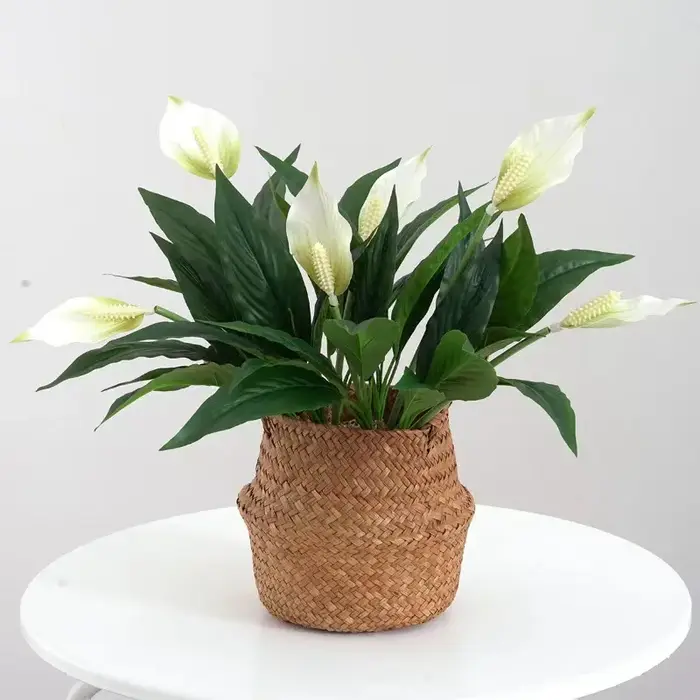 Yannew 4 pièces fleurs artificielles Spathiphyllum pour l'extérieur plantes en soie résistantes aux UV verdure bonsaï jardin porche décoration de la maison