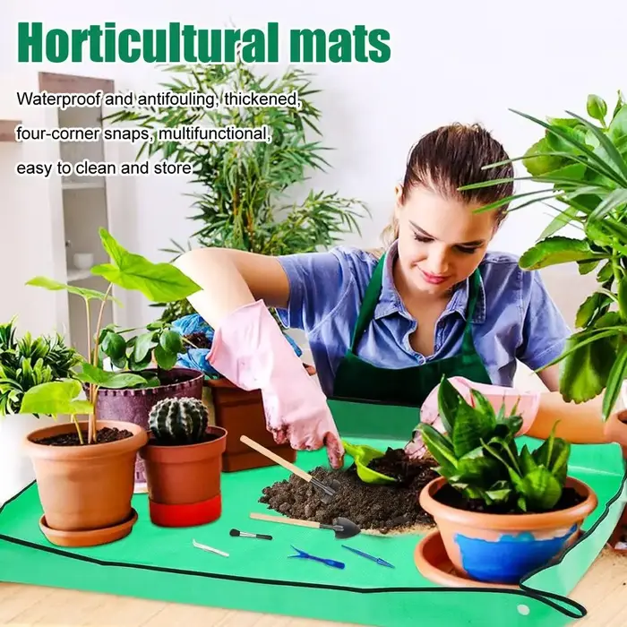 Tapis de régénération des plantes